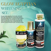 Kit de Soins Égyptiens OEM Marque Privée Réduit les Taches Brunes Super Éclaircissant Crème Visage Sérum Glutathion pour Peaux Foncées