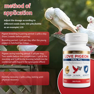 Campione Omaggio Integratore Avanzato per Piccioni 300 Compresse Vitamina per Piccioni per Migliorare Vitalità Riproduttiva Resistenza in Volo e Salute del Piumaggio - Product Image 4