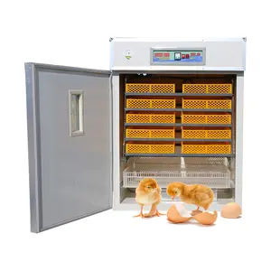 Incubateur d'œufs automatique pour œufs, couveuse
