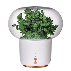 Difusor de Aroma Ultrasónico en Oferta, Humidificador con Flor Eterna y Luz LED para el Hogar y la Oficina - Product Image 1