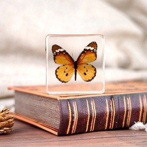 Espécimen de Mariposa Real en Resina, Artesanía Artística, Decoración, Regalo, Recuerdo, Adorno Creativo - Product Image 1
