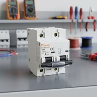 Disjoncteur miniature DAB6-125 2P (IEC/EN 60898-1) à prix d'usine – Protection contre les surcharges et les courts-circuits CDADA