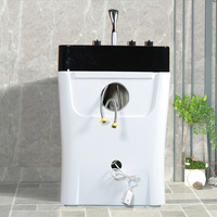Toilettage de chien en plastique électrique SPA douche baignoire canine chat hydrothérapie lavage baignoire animalerie Salon ozone thérapie baignoires