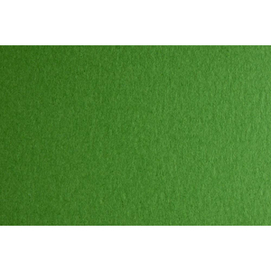 FABRIANO - ELLE ERRE CARTONCINO 70X100CM VERDE - Product Image 1