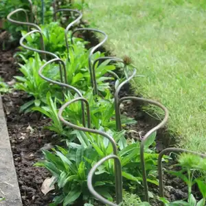 Hot Selling Metal Wire Hoop Plant Support Stakes Half Round Green Garden Plant Supports Ring