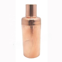 Mini shaker à cocktails en cuivre, ensemble en acier inoxydable et métal argenté, cadeau pour les barmans et les bars