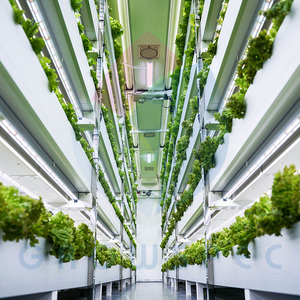 近代農業用コンテナ農業40HQ成長施設エアロポニックシステム - Product Image 6