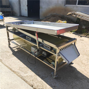 Máquina Clasificadora Multifuncional de Frutas, Verduras, Ajo, Clasificación Automática de Cebollas, Clasificación de Aceitunas - Product Image 5
