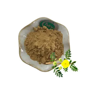 Organische Hoge Kwaliteit Tribulus Terrestris Fruit Extract Gratis Monster 98% Saponinen Tribulus Terrestris Extract