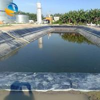Geomembrana de HDPE, Duradera, Impermeable, Ecológica, con 3 Años de Garantía, para Minería, Acuicultura y Proyectos de Vertederos