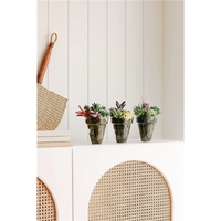 Plantes succulentes artificielles de qualité supérieure, 18 pièces, double flocage, texture réaliste, mini cactus, fausses succulentes décoratives