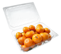 Rechthoek Wegwerp Pet Clear Fruit Groente Verpakking Plastic Transparante Aardbei/Groene Datum/Longan Take Out Container