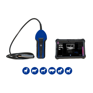 LHWBS100 Système d'ultrasons vétérinaire sans fil Bovin Cheval Âne Vet Sonde rectale à ultrasons avec moniteur de tablette - Product Image 4
