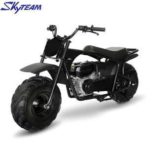 SKYTEAM CE APPROVED 220cc Two Wheel Gas Powered Mini Bike Kid Gas Dirt Bike