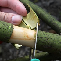 Vente en gros anneau verger épluchage ceinture couteau sécateur pour jardinage arbre arbuste élagage et raisin greffage