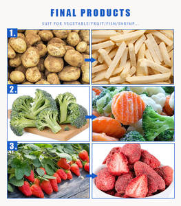 <span class=keywords><strong>Machine</strong></span> de lavage, de blanchiment, de congélation et de séchage des fruits et légumes pour les produits sucrés et les céréales, en acier inoxydable 304, capacité de 1,5 t/h - Product Image 5