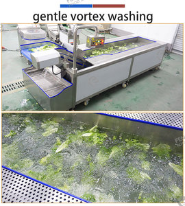 Lavadora de Vórtice Suave de 2000 kg/h para Lechuga, Nueva Lavadora de Vórtice para Verduras de Hoja y Lechuga - Product Image 5