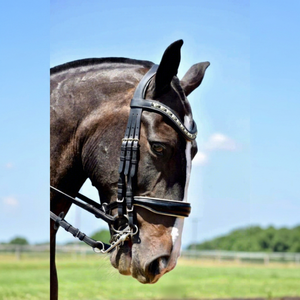 Bridon double en cuir véritable Annabelle, équipement d'équitation de luxe pour chevaux, fournisseur pour la vente en gros. - Product Image 1