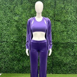 Women's Purple <b>Velvet</b> Knitted 2 Piece Sporty Set Full Length <b>Leggings</b> Crop Top O Neck Hoodie Solid Color All Seasons Wear - Product Image 1