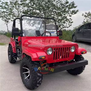 Đổ bộ bãi biển Buggy chuyên nghiệp tùy chỉnh ghế điện Dune Buggy cho người lớn mini willys Jeep 250cc - Product Image 6