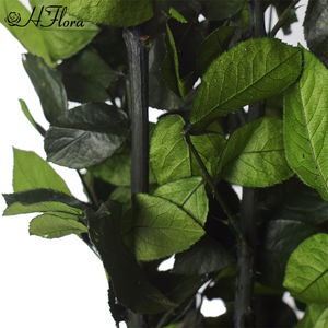 แก้วทรงโดมขนาด30*60ซม. งานตามสั่งใหม่ทำจากดอกกุหลาบในแก้วขนาดยักษ์ที่มีคุณภาพสูงปรับปรุงบ้านของขวัญครบรอบ - Product Image 5