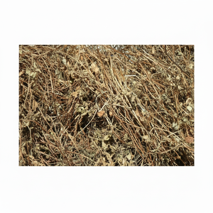 ใบเจลลี่หญ้าแห้งสำหรับผู้ผลิตทั่วโลกที่เชื่อถือได้ - Product Image 1