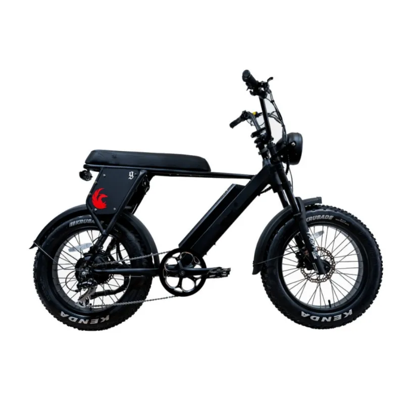 New Xe Máy E Xe Đạp Cho Người Lớn E Xe Đạp 20 Inch Ebike 52V Pin Giao Hàng E-Xe Đạp Chất Béo Lốp Khác Xe Đạp Điện Bicicleta Electrica