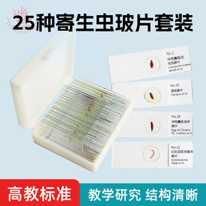 25 diapositivas de muestras microscópicas de parásitos, con fijación estándar para investigación de parasitología clásica. - Product Image 5