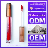 Gloss à lèvres 3g à base minérale, hydratant, effet rosée, fini miroir, résistant à l'eau, anti-transfert, pour fabrication OEM transfrontalière