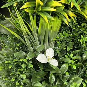 Planta suculenta de imitación, plantas artificiales de <span class=keywords><strong>tierra</strong></span>, de madera - Product Image 2