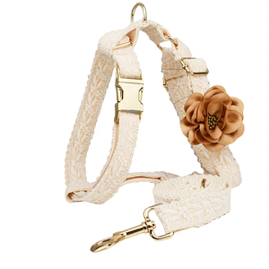Set <span class=keywords><strong>Pettorina</strong></span> e Guinzaglio per Cani in Pizzo Carino, Taglie S-XL, Collari per Animali Domestici Piccoli e Medi, Accessorio con Fiocco - Product Image 1