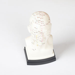 رئيس الوخز بالإبر نموذج 22 سنتيمتر رأس بشري الطب الصيني التدريس نقطة الوخز بالإبر نموذج - Product Image 3