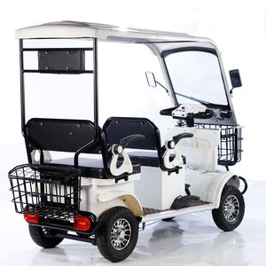 Scooter électrique de haute qualité 800W 60V, vélo électrique à 4 roues, 20Ah, longue autonomie, chariot de golf électrique avec toit - Product Image 6