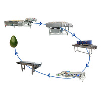 Fruitverwerkingsinstallatie machine avocado reiniging en sortering groenteverwerkings- en verpakkingslijn