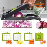 TOALLWIN Groentensnijder, -hakselaar, -schaaf en -mandoline voor aardappelen, groenten en uien