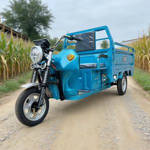 Potente Motocicleta <span class=keywords><strong>de</strong></span> Carga <span class=keywords><strong>de</strong></span> 3 Ruedas con Batería <span class=keywords><strong>de</strong></span> Plomo-Ácido <span class=keywords><strong>de</strong></span> 60V, Carrocería Abierta, Capacidad <span class=keywords><strong>de</strong></span> Carga <span class=keywords><strong>de</strong></span> 400 kg, Velocidad <span class=keywords><strong>de</strong></span> 30 km/h, Motorizada, 2 GCC/Dot - Product Image 4