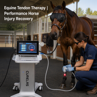 Appareil de thérapie laser de classe IV à double usage pour le soulagement de la douleur au genou et à l'épaule chez l'homme, et la rééducation des blessures aux tendons et aux articulations chez les animaux.
