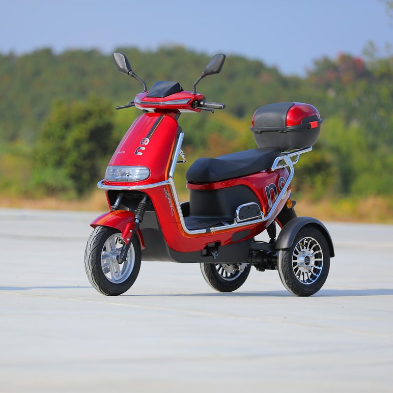 Electric Motorcycle Tricycle 800W Motor 3