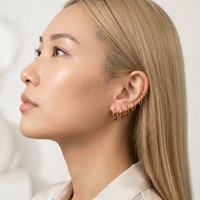 Bijoux de piercing en titane ASTM F136 : Anneau de nez segmenté articulé sans fin, clicker pour septum, tragus, hélix et narine