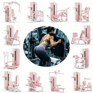 Commercial Complete Set of Machine for Chest Press Strength Training High and Low Back Extension Equipment WD-F3000 Your T - Product Image 1