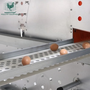 Cage à <span class=keywords><strong>poules</strong></span> automatique multi-niveaux moderne <span class=keywords><strong>pour</strong></span> élevage commercial, cage à batterie <span class=keywords><strong>pour</strong></span> <span class=keywords><strong>poules</strong></span> pondeuses, <span class=keywords><strong>volière</strong></span> sans cage <span class=keywords><strong>pour</strong></span> <span class=keywords><strong>poules</strong></span> pondeuses - Product Image 6