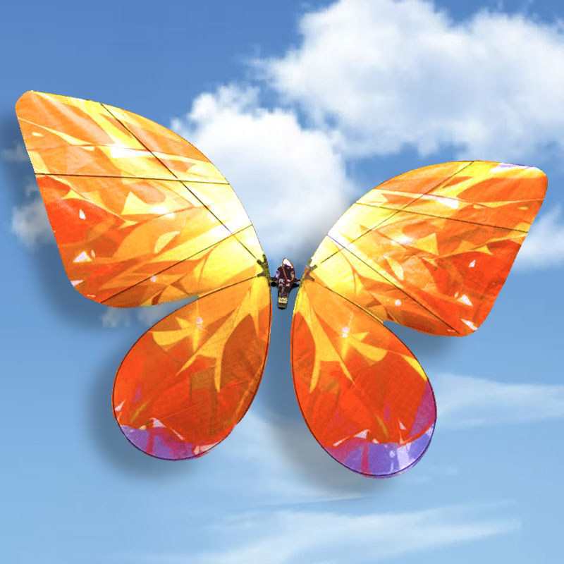 Orange coloré