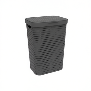 Contenedor de Ropa Sucia Rotho Country 40 L con Tapa para Uso en Interiores - Product Image 2