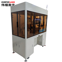 Machine de marquage laser UV entièrement automatique pour le lavage à l'eau, machine de marquage d'étiquettes en tissu