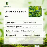 Huile Essentielle de Basilic 100% Pure Distillée à la Vapeur, Parfum de Voiture, Qualité Thérapeutique de Luxe, Diffuseur d'Aromathérapie, Soin Nourrissant pour la Peau