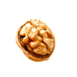 Suministro <span class=keywords><strong>de</strong></span> fábrica <span class=keywords><strong>Precio</strong></span> al por mayor Cáscara delgada 185 Nogal - Product Image 1