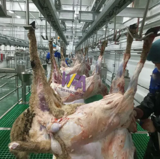 Halal piccola attrezzatura per macello di montone lavorazione della carne rotaie sospese per la macellazione dell'attrezzatura del macello di capra