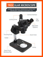 Continuous Zooming Trinocular 7-50X Stereoscopic Microscope for Precision Repair