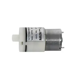 Micro pompa per vuoto a membrana mini pompa ad aria per attrezzature da massaggio