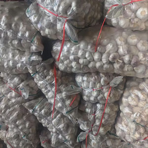 <span class=keywords><strong>Ail</strong></span> blanc normal frais chinois de bonne qualité pour l'Europe Légumes en gros à bas prix Fresque populaire Alho au Brésil - Product Image 4